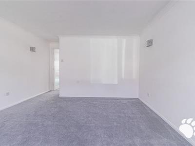 Picture 31